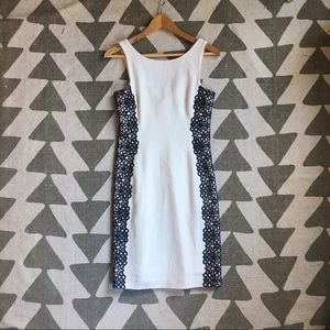 Wool & Lace Dress | White House Black Market
